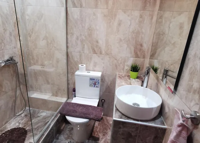 Purple_rose_apartment Case de vacanță *